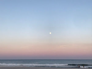 Meet your Posher, Liz